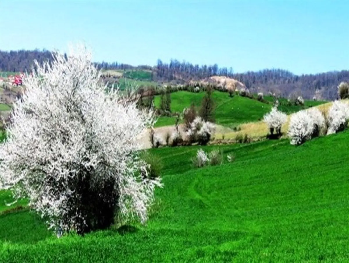 طبیعت زیبای چهار فصل هزارجریب نکا به روایت تصاویر