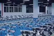 تولید انبوه ربات‌سگ‌ برای حضور در ارتش چشم بادامی ها!/فیلم