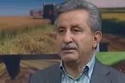 ۲ امتیاز ویژه برای کشت قراردادی در نظر گرفته شد
