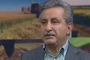 ۲ امتیاز ویژه برای کشت قراردادی در نظر گرفته شد
