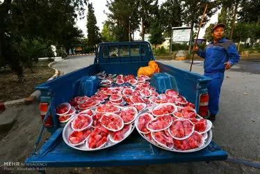 سربازی