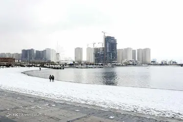 11252627_595