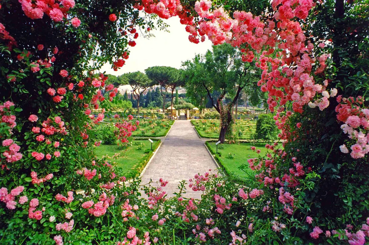 توصیف بی نظیر امام سجاد(ع) از مرگ که شاد کننده دل مومنان است