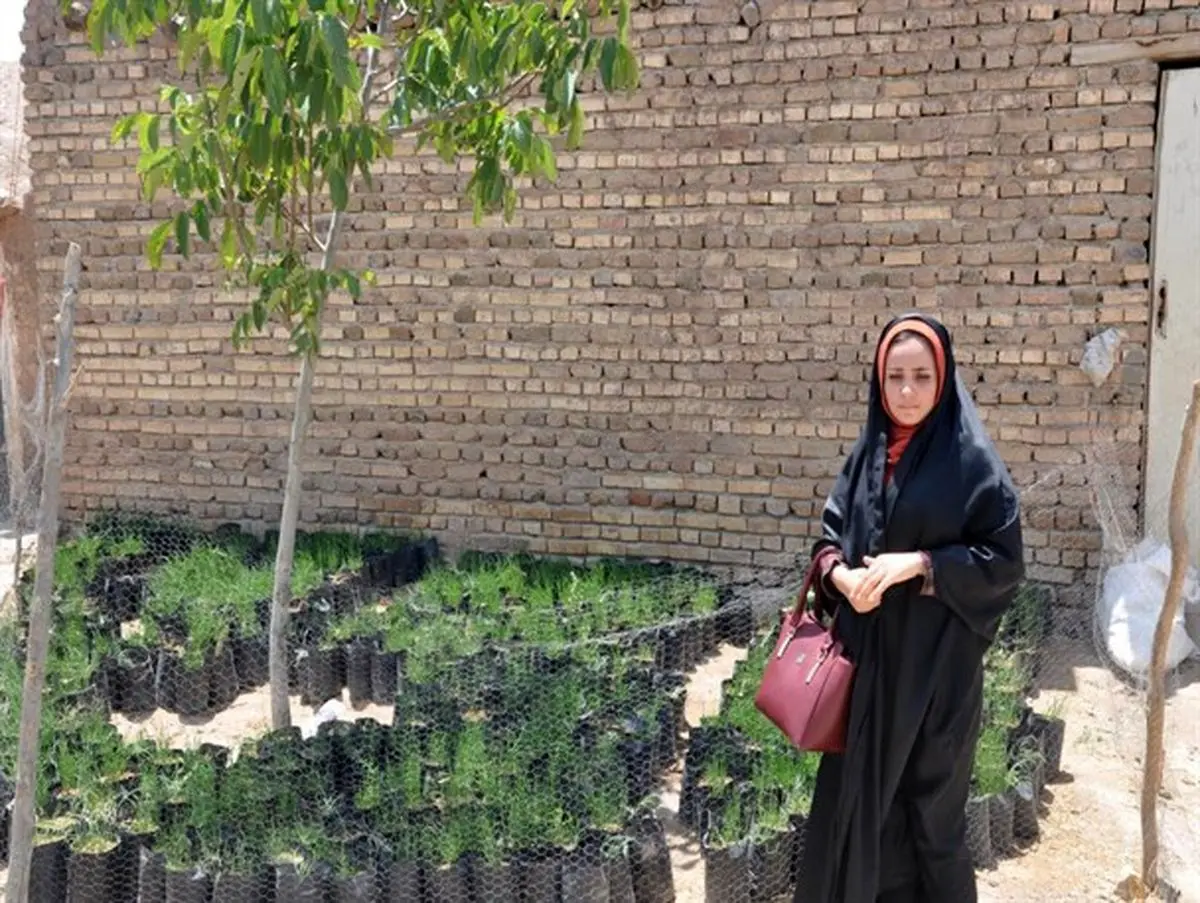از دامپروری تا پرورش نهال