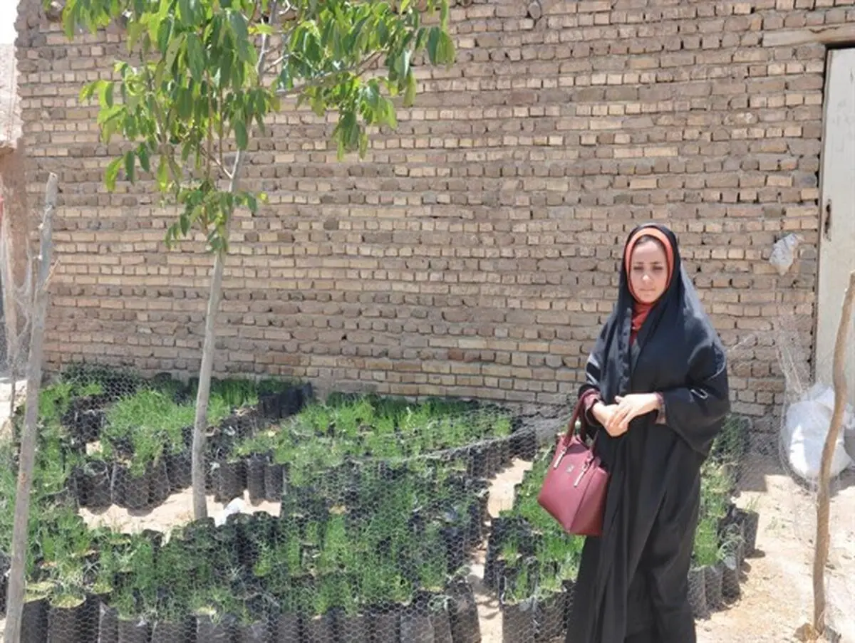 از دامپروری تا پرورش نهال