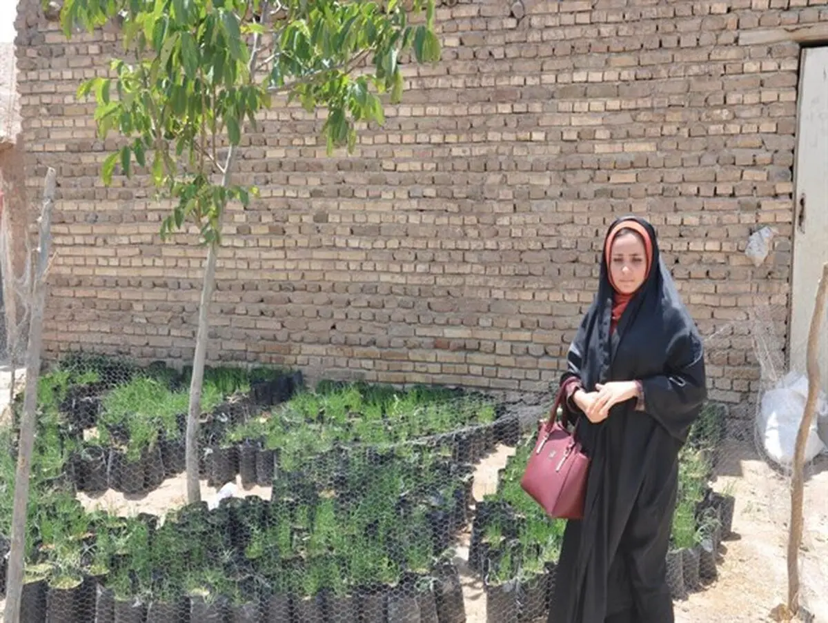 از دامپروری تا پرورش نهال