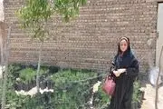 از دامپروری تا پرورش نهال