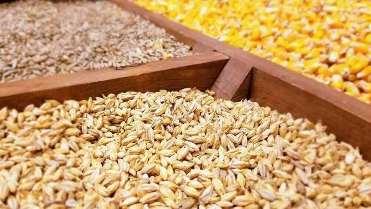واردات ۳ میلیون تن نهاده دامی تا پایان سال
