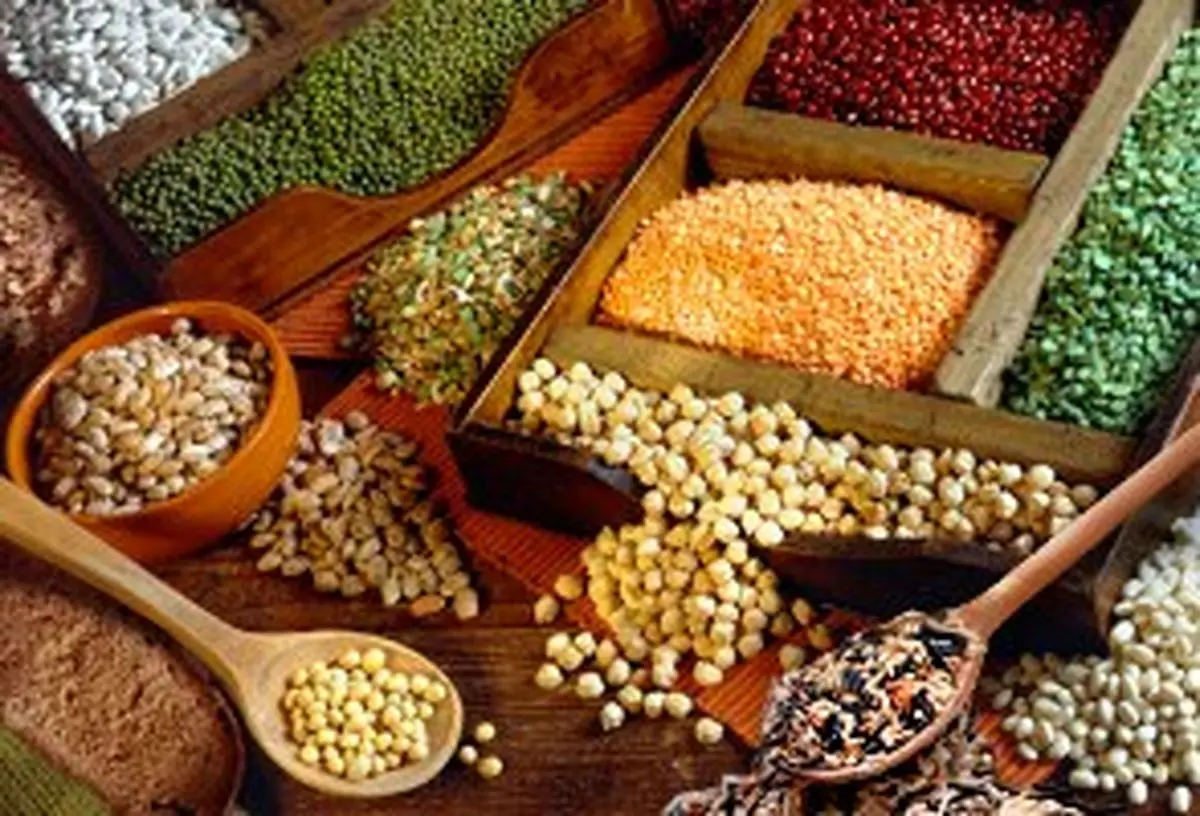 آخرین وضعیت تولید حبوبات در سال جاری