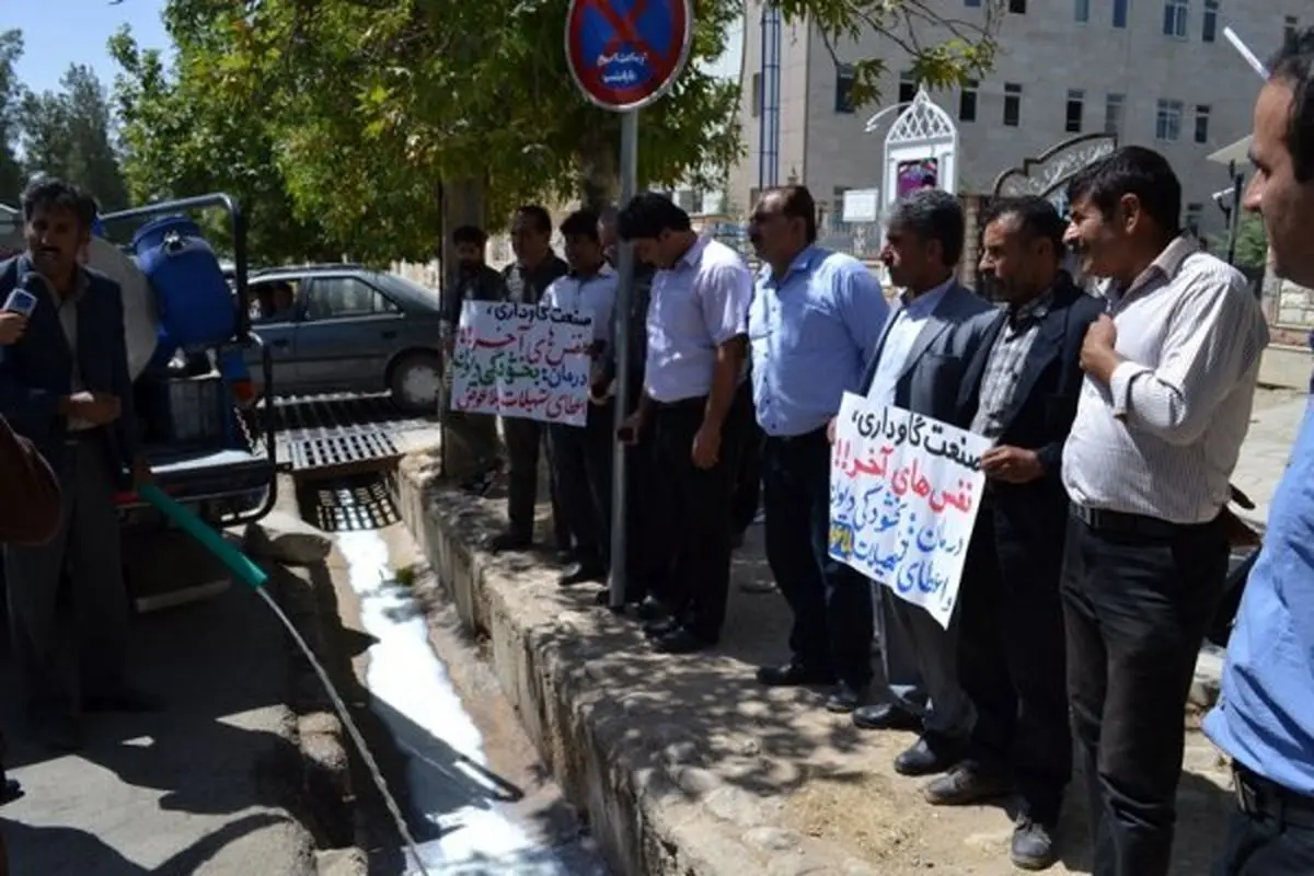 ریختن شیر در مقابل استانداری کهگیلویه و بویراحمد