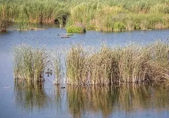 خطر در کمین بزرگترین دریاچه آب شیرین ایران/ عکس