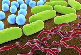 باکتری‌های داروخوار را بشناسید!