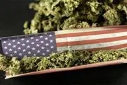 استفاده از ماری‌جوآنا در یک ایالت دیگر آمریکا قانونی شد