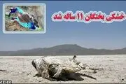 نوشداروی بختگان پس از مرگ هم نرسید