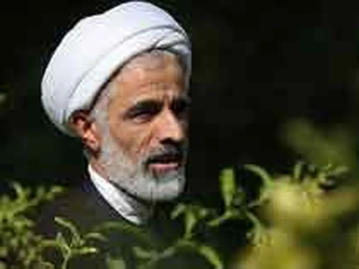 انصاری به منتخبین مجلس دهم: مرا یاد مجلس ششم می اندازید!