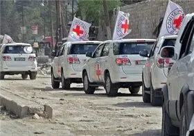 تایید خبر آزادی ۴ عضو صلیب سرخ در سوریه