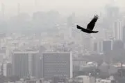 منشأ گرد و غبار پایتخت از کجاست؟/ خبر خوش به تهرانی‌ها 