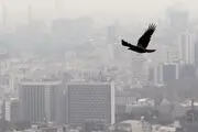 منشأ گرد و غبار پایتخت از کجاست؟/ خبر خوش به تهرانی‌ها 