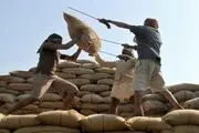 واردات برنج و چای هندی ممنوع شد؟
