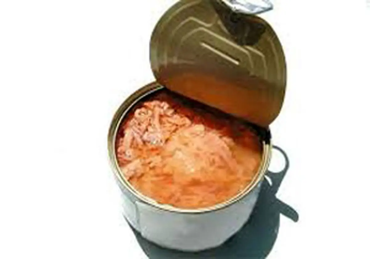 شرایط مصرف کنسرو در سفر