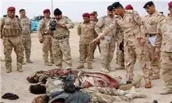وزیر جنگ داعش در سنجار عراق کشته شد