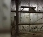 هتک حرمت قبرستان مسلمانان در آمریکا+ تصاویر 