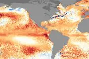 ال نینو، قاتل خاموش سفره‌‌ها می‌شود