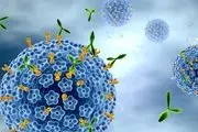 انتقال ویروس HPV از استخر واقعیت دارد؟