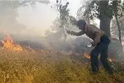 عوامل تخریب جنگل ها