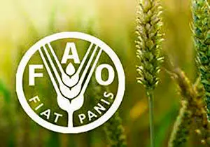 درخواست فائو برای حفاظت از امنیت غذایی جهان