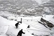 تلفات سرما در اروپا به ۵۴ نفر رسید