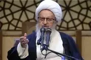مکارم شیرازی: امام را خدا و نه آرای مردم تعیین می‌کند