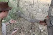 بی تدبیری در برخورد بامحیط زیست