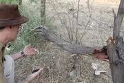 بی تدبیری در برخورد بامحیط زیست