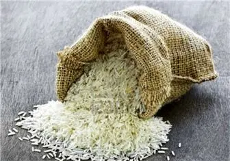 اختلاف آمار مسئولان از نیاز به واردات برنج
