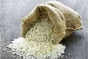 اختلاف آمار مسئولان از نیاز به واردات برنج