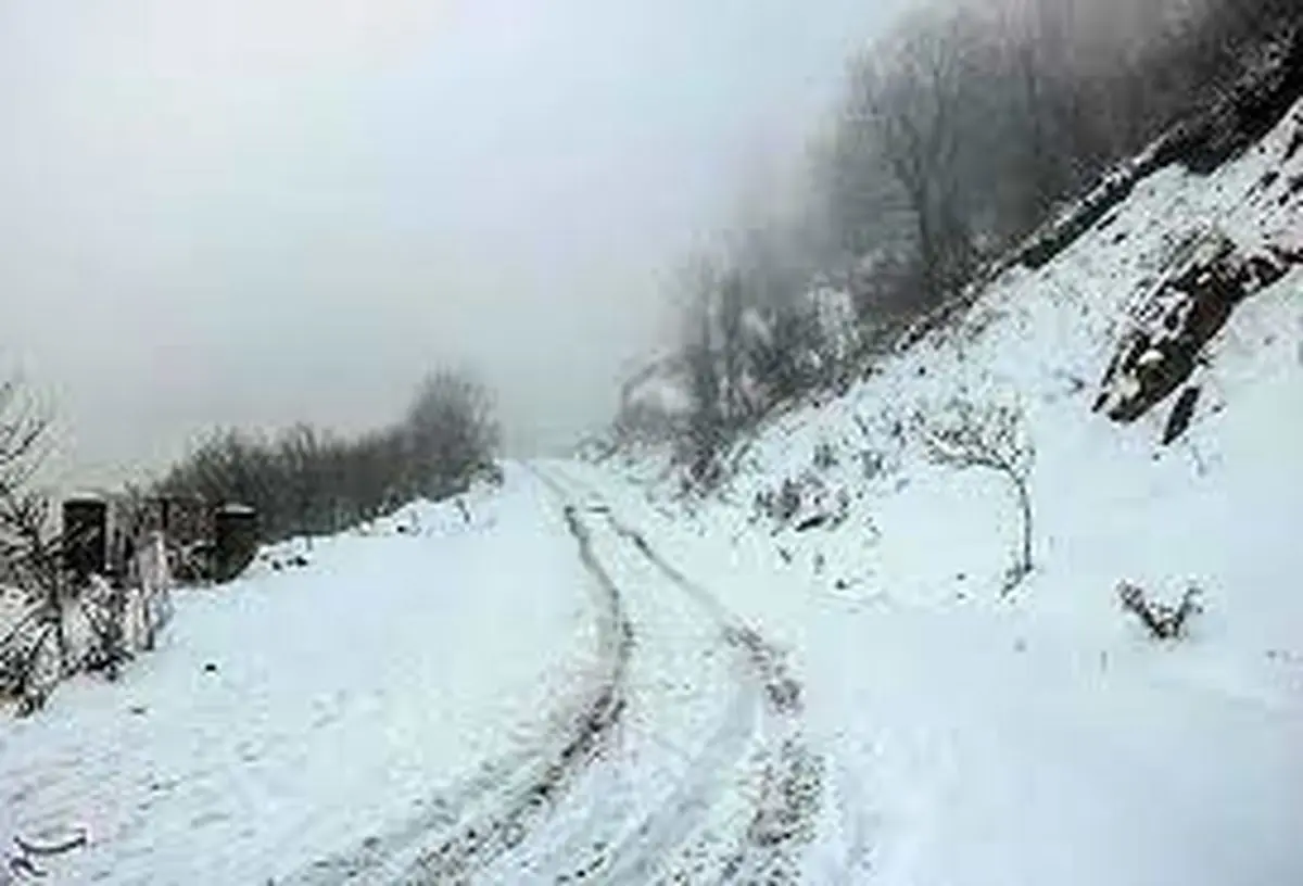 خودروی شخصی به شمال تهران نروید +فیلم