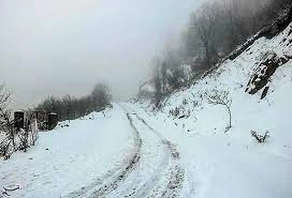 خودروی شخصی به شمال تهران نروید +فیلم