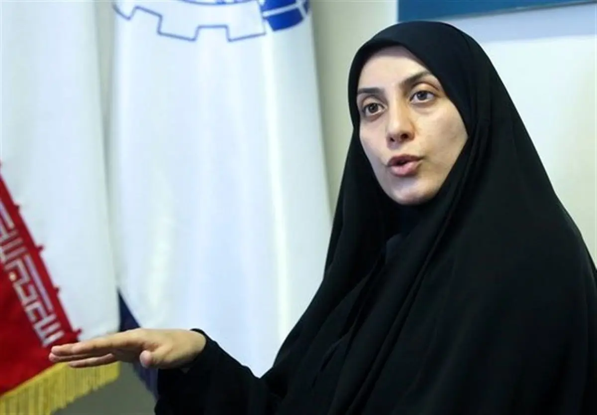 کنایه سنگین خانم نماینده به وزیر جوان