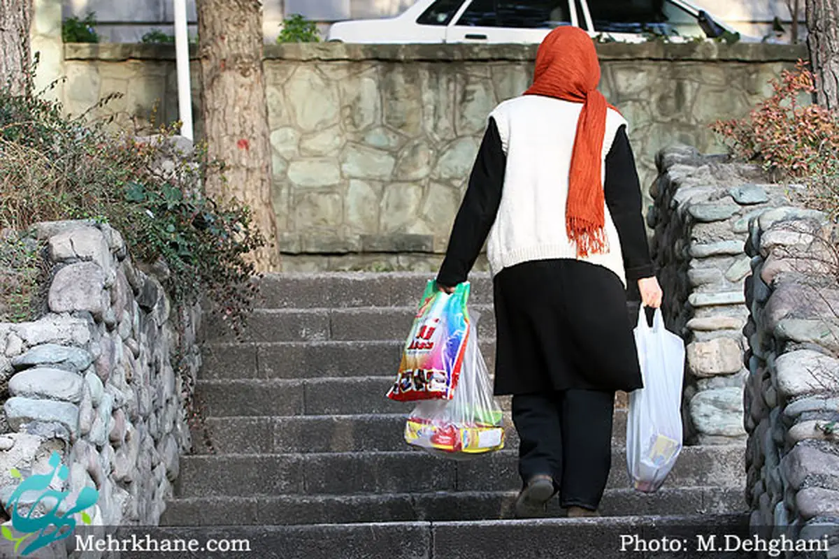 طرح جامع توانمندسازی زنان سرپرست خانوار در برنامه ششم مصوب میشود؟