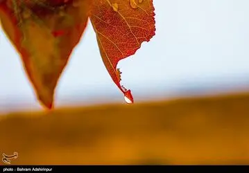 image10