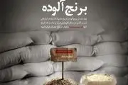 برنج‌های آلوده استان لرستان غیرقابل مصرف هستند