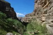 تنگ شیرز، نگین اقلیم کوهدشت