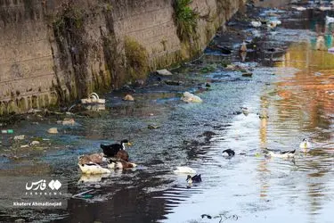 c6fce016323c49ed8dad8242ddaedd93