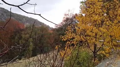 n00379268-r-b-007