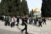 تعرض شهرک‌نشینان صهیونیست به مسجد الاقصی