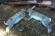 سه متخلف به جرم شکار در منطقه حفاظت شده سرخ آباد دستگیر شدند