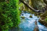 طبیعت زیبای چالابه/ عکس
