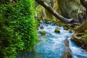 طبیعت تابستانی لردگان /گزارش تصویری