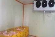 

نخستین کارخانه قطعه بندی مرغ در تویسرکان آغاز به کار کرد